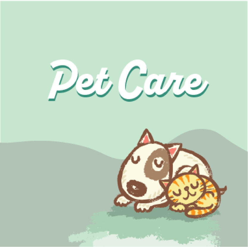 Pet Care business music channel